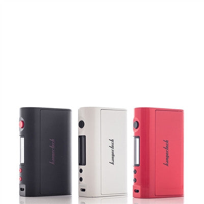 Sigelei 213W Temperature Control Box Mod